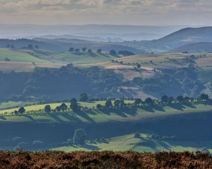 Красивые пейзажи, исторические городки и отличные пабы — прогулка по Shropshire Way на выходных
